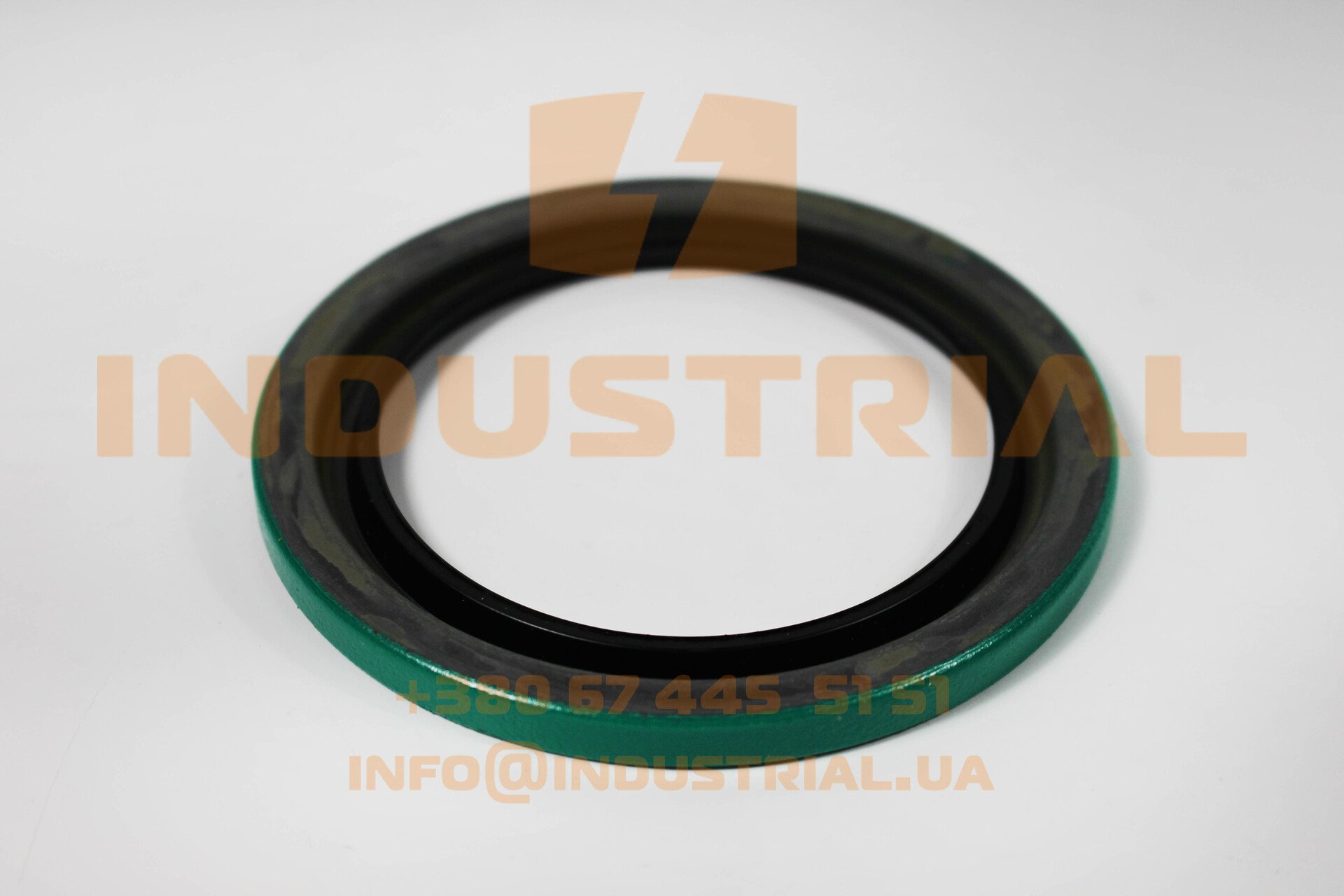 CHG 5231836 CHICAGO RAWHIDE SKF